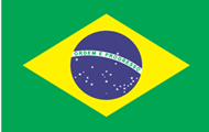 巴西个人旅游签证